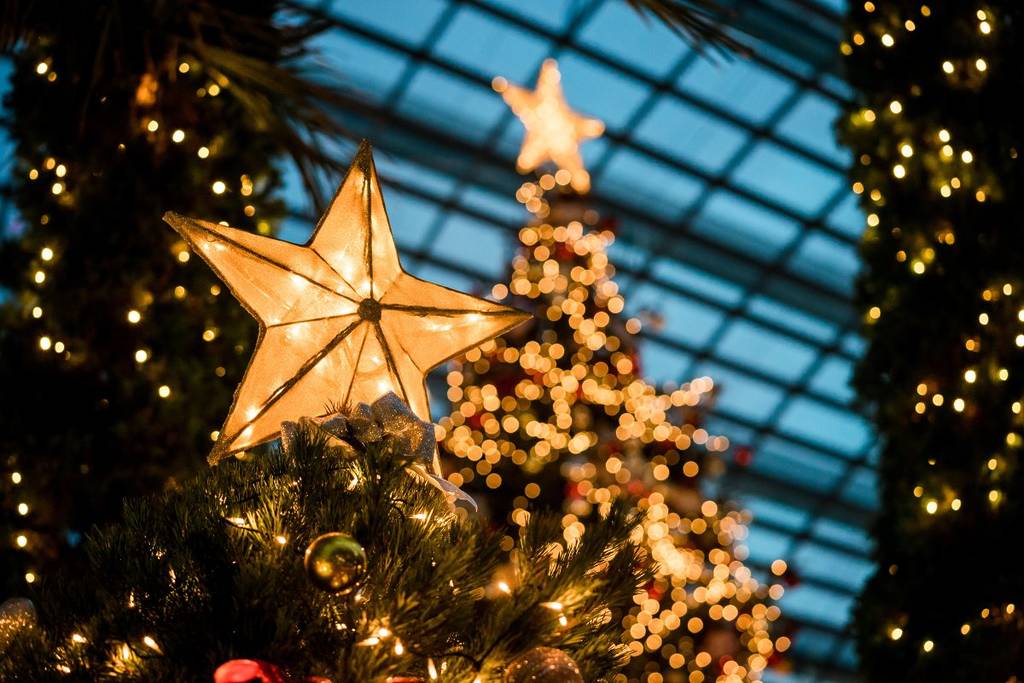 Cena de navidad 2025 buenos aires