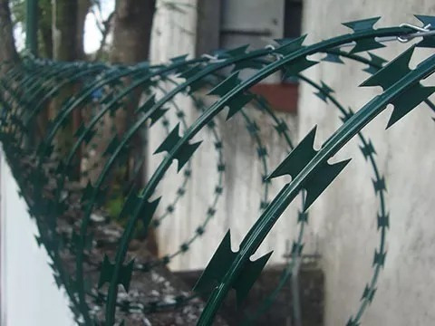 Serpentina seguridad